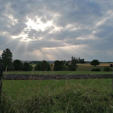 Ferienwohnung Am Reinhardswald - Eichenlaub - Mit Sauna Trendelburg Zewnętrze zdjęcie